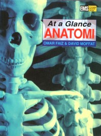 Image of At a Glance Anatomi = Anatomy at a Glance